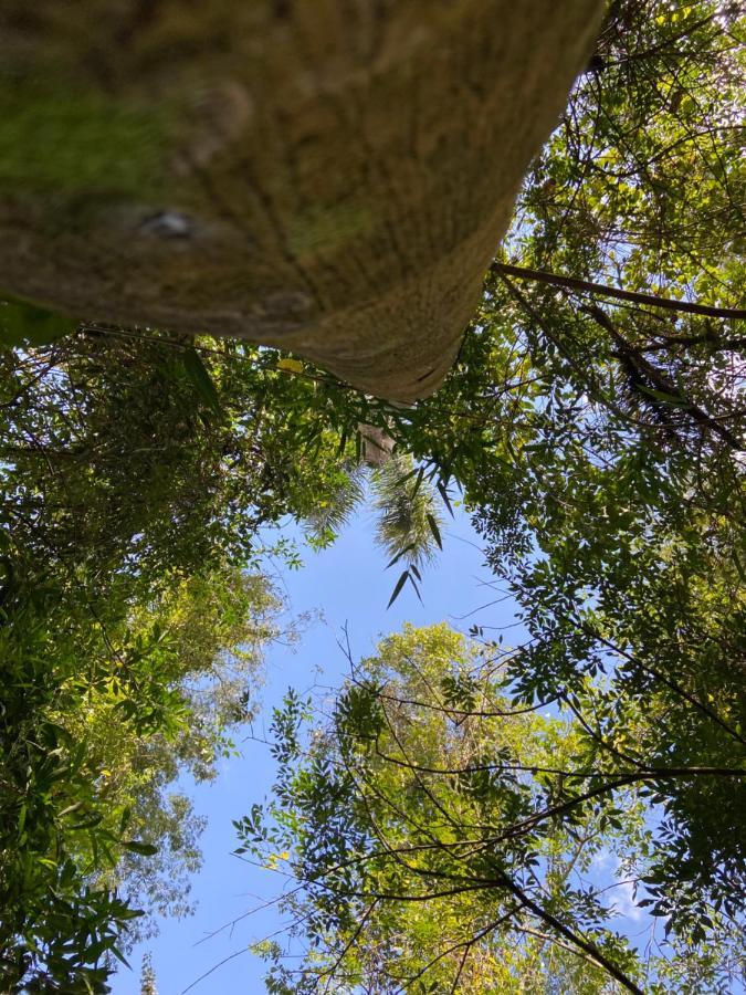 Sitio Metrópole - Refugio na natureza Piraju Esterno foto
