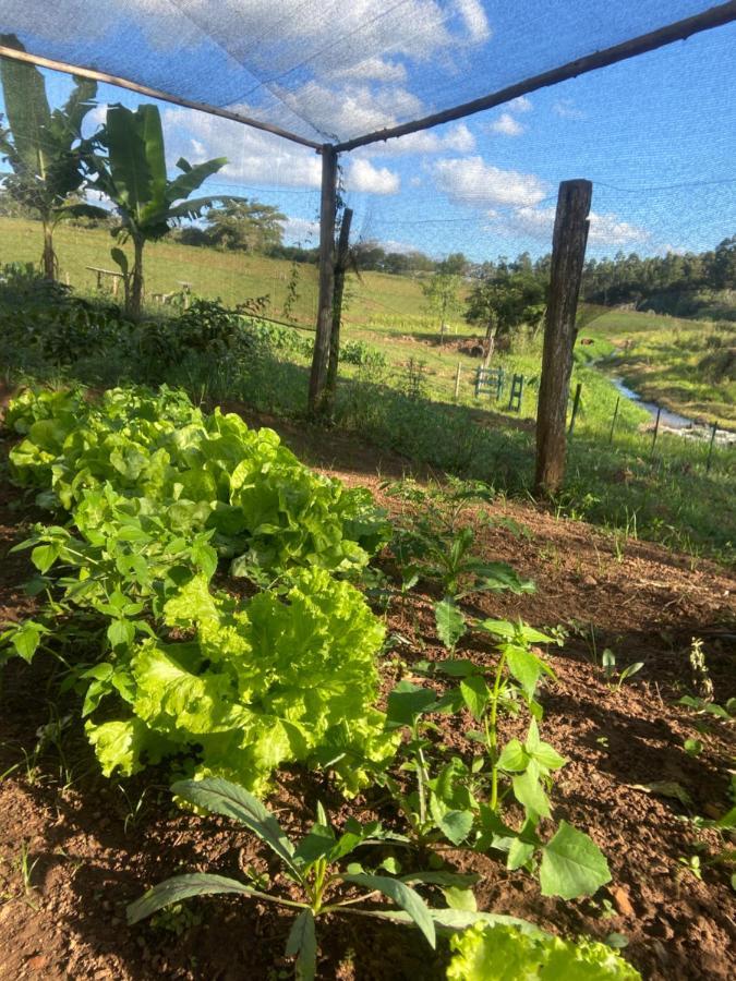 Sitio Metrópole - Refugio na natureza Piraju Esterno foto